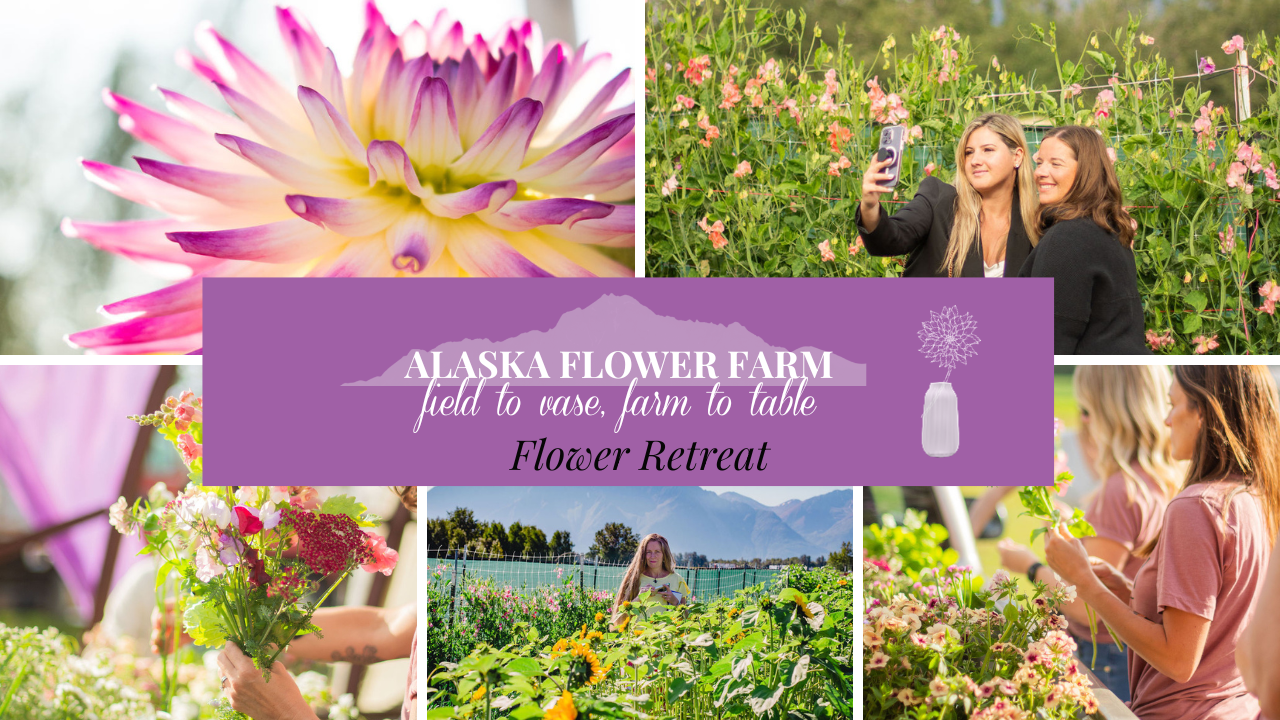 MyAlaskaTix Alaska Flower Farm Flower Retreat