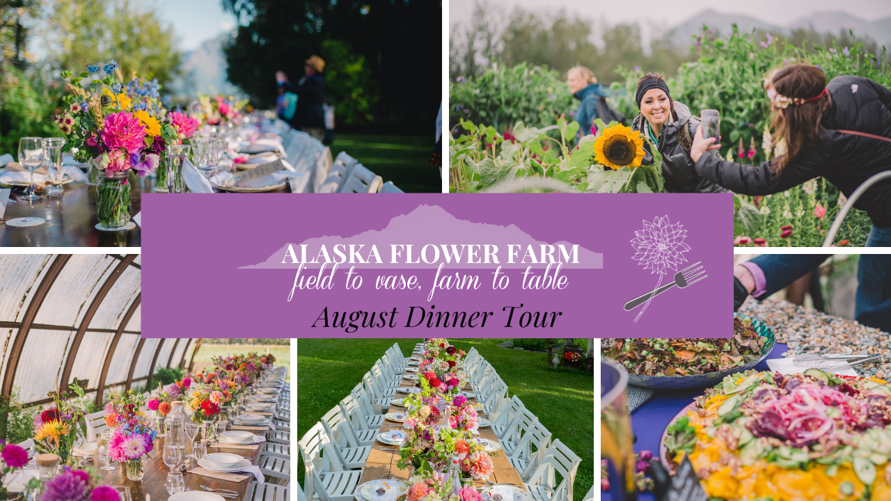 MyAlaskaTix Alaska Flower Farm August Dinner Tour